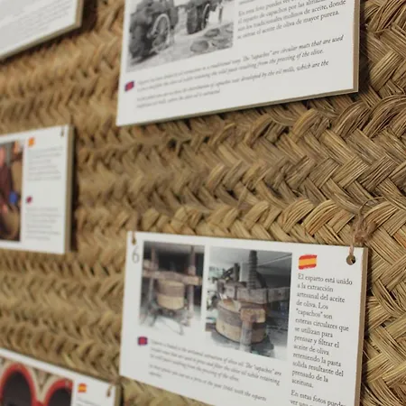 Esparteria Parking Gratuito